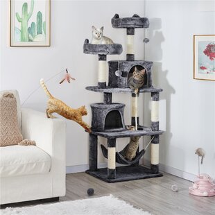 Long cat outlet tree